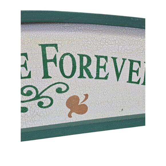 Families Are Forever Decorative Wooden Wall Plaque Green - Picture 5 of 10